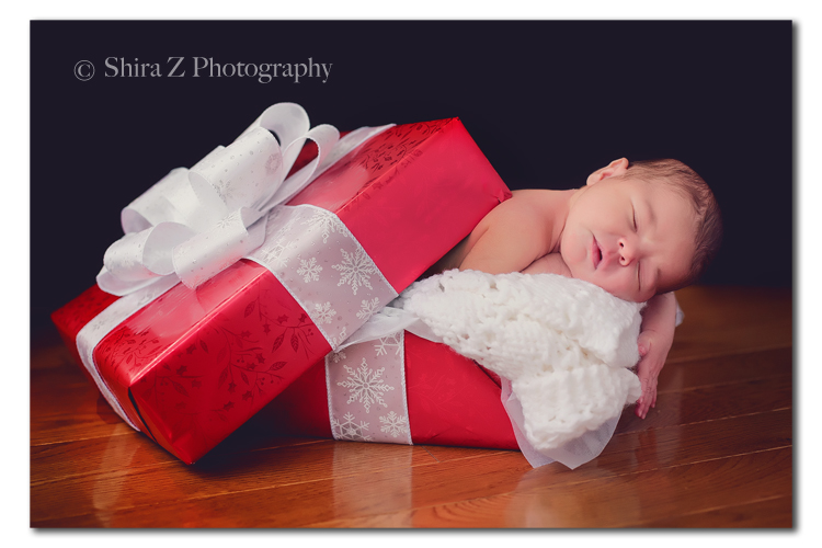 IMG_0721web