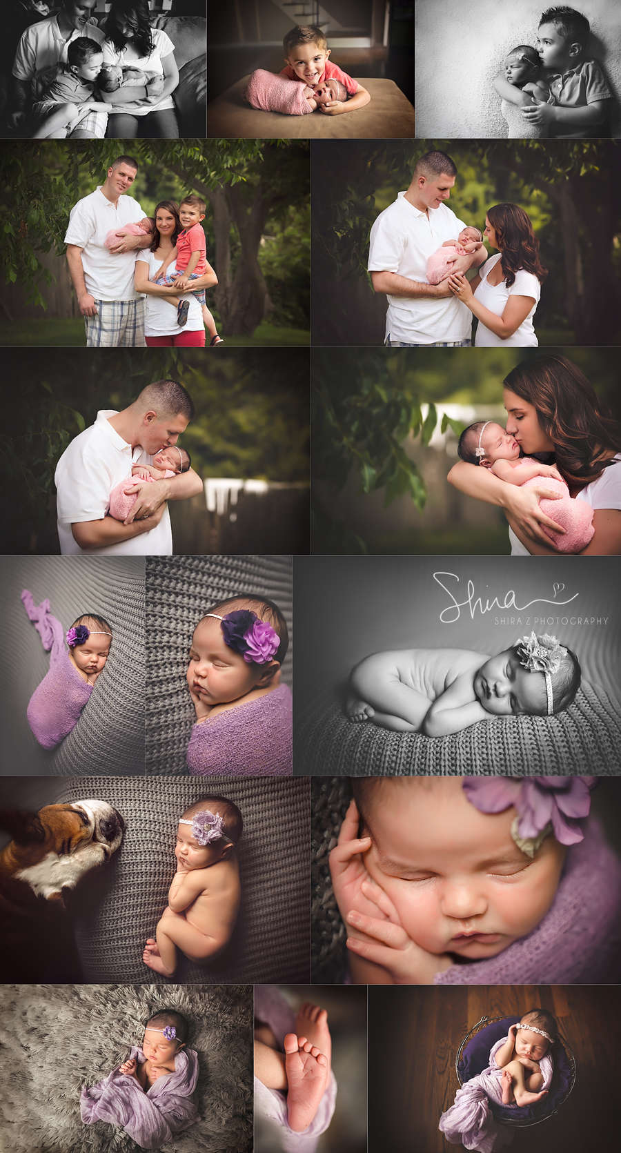 collage of a Long Island Newborn photographed in purple with brother and parents