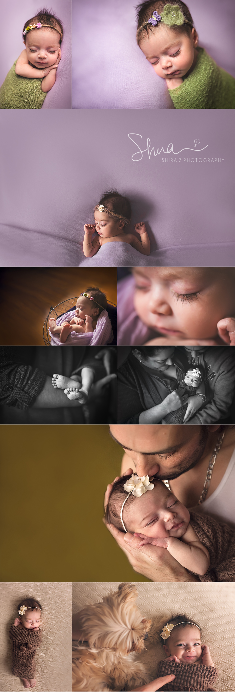 Long Island Newborn Photo collage