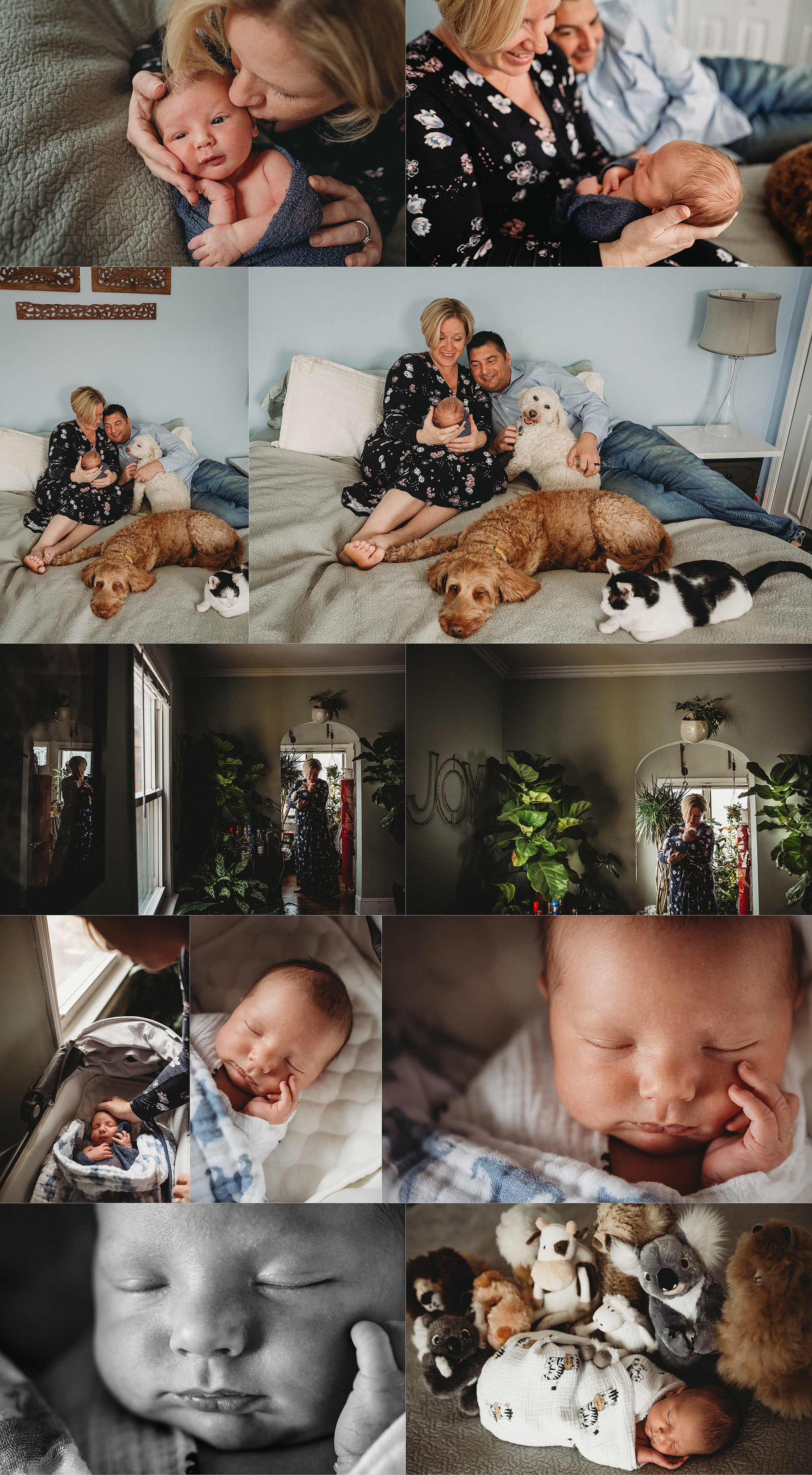 In home lifestyle newborn and family photos. Mom and Dad cuddling their newborn baby boy. 